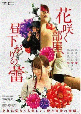 牛顿的苹果